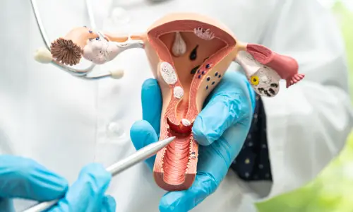 Hymenoplasty Surgery | Plastic Surgery India